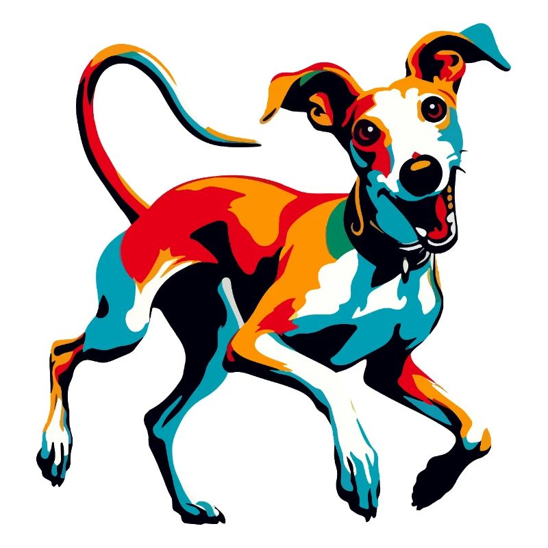 Galgo Insensé Nr6