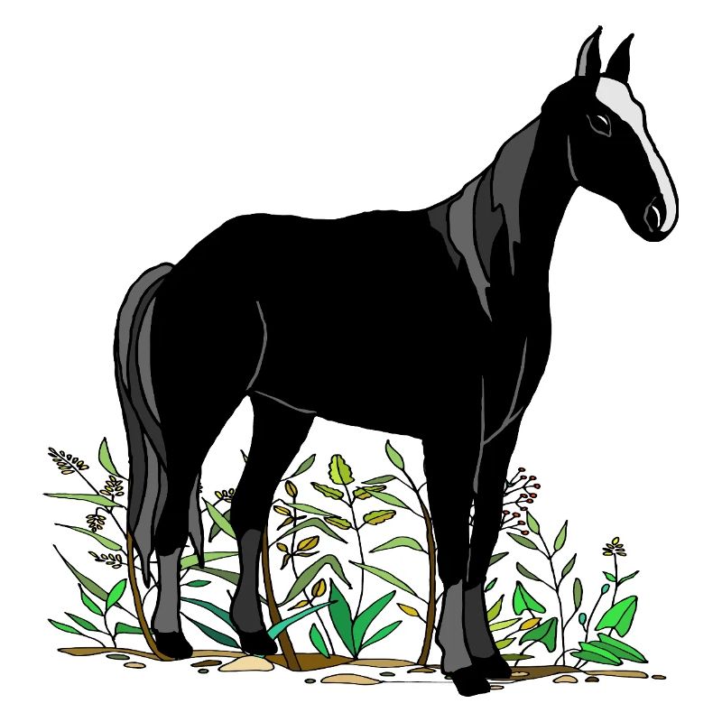 Cheval