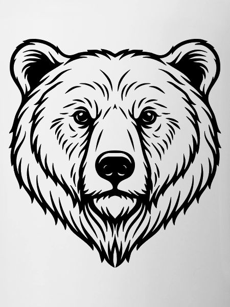 Bear Illustration