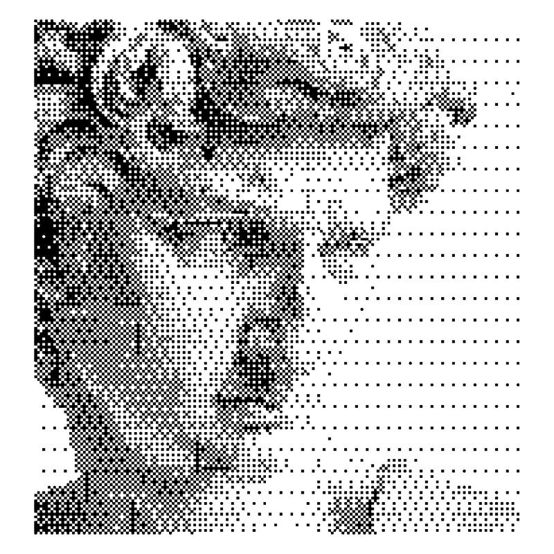 David Michelangelo face halftone portrait