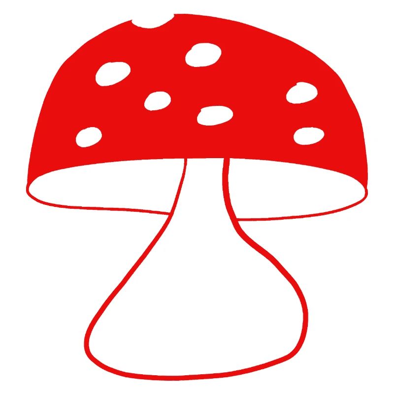 Red fly agaric mushrooms