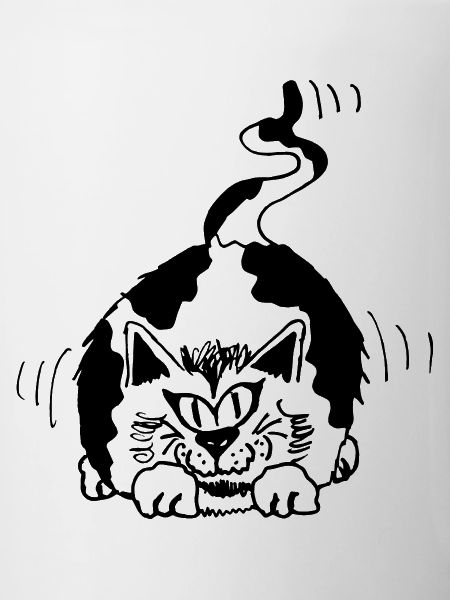 funny cat spotted black and white
