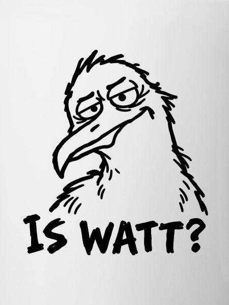 IS WATT? – Misstrauische Möwe
