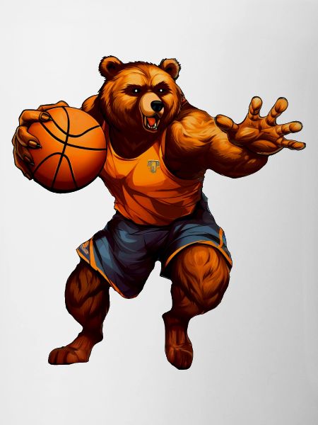 Basketball Bär