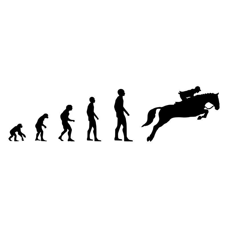 Dressage cavalier - Evolution