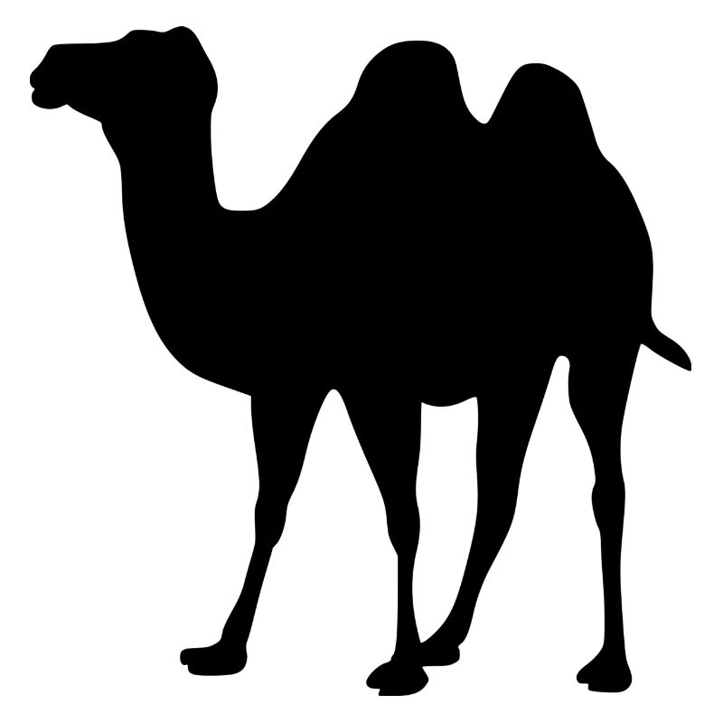 camel