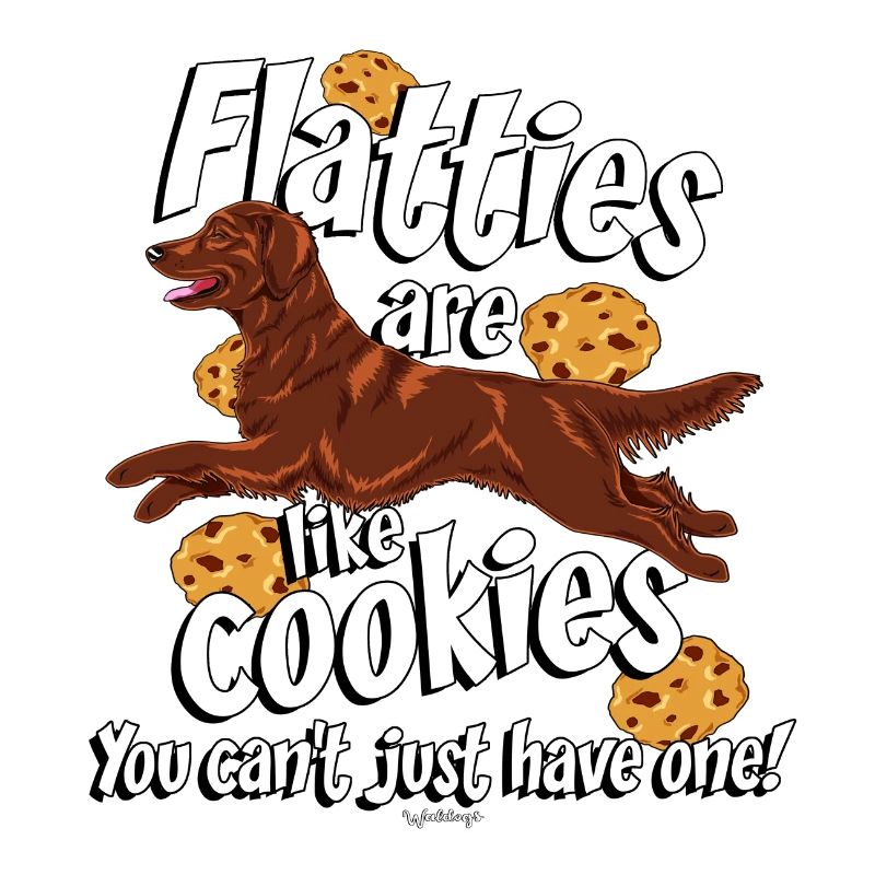 Biscuits Flattie