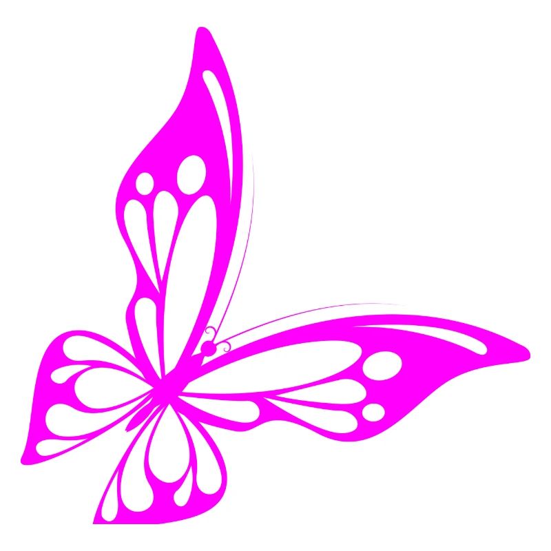 Papillon neon