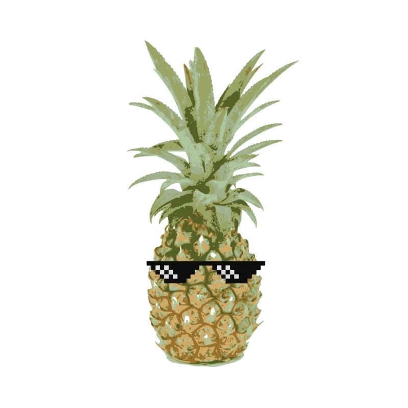 Th .. Life pineapple gift idea