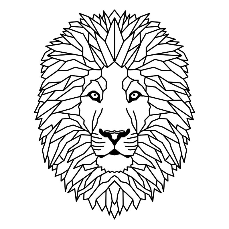 Löwe Geometric