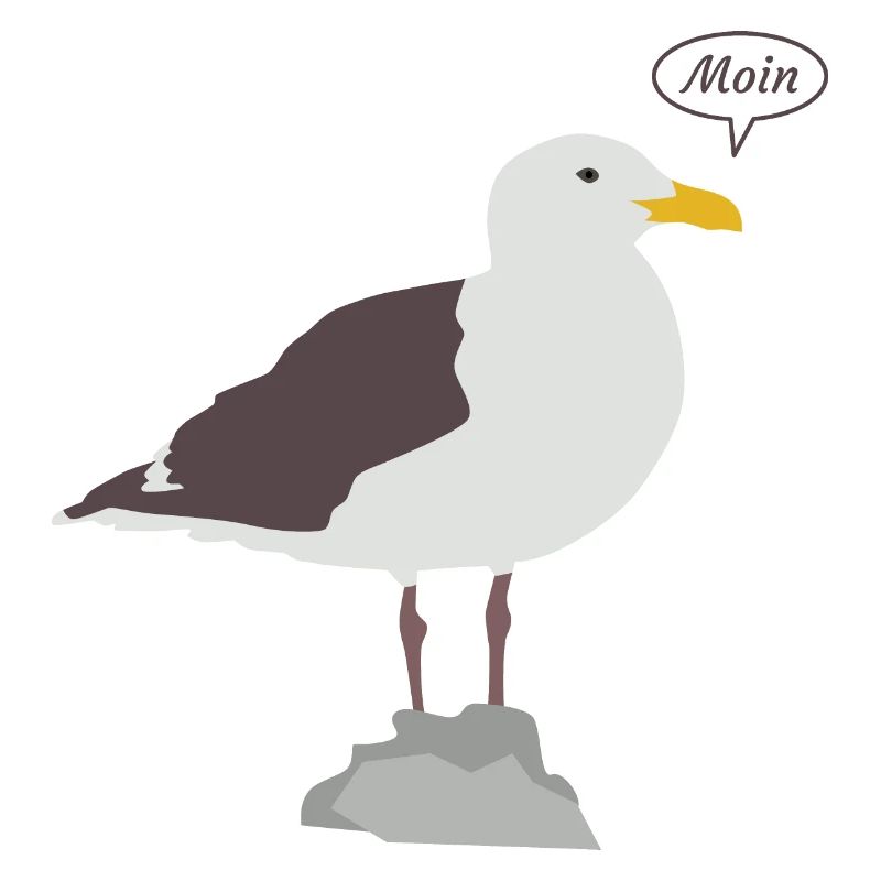 Cute gull says Moin