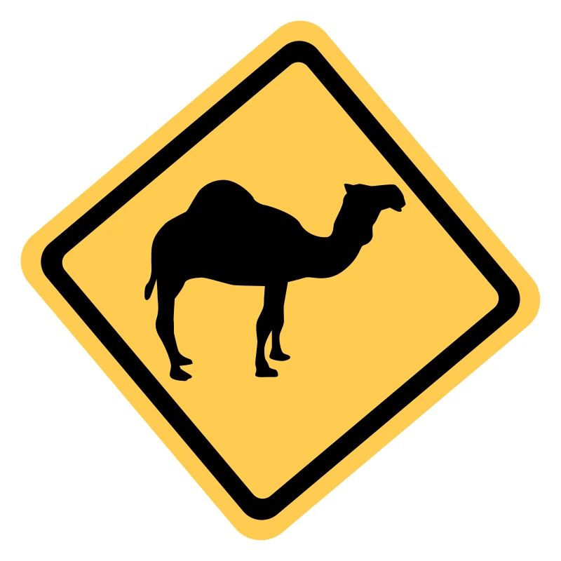 Camel