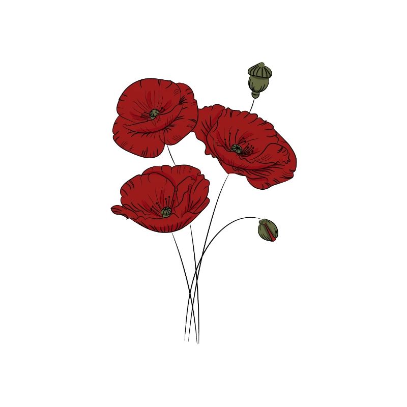 Coquelicot, Fleurs, Nature, Bio