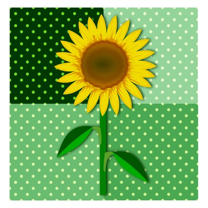 Tournesol
