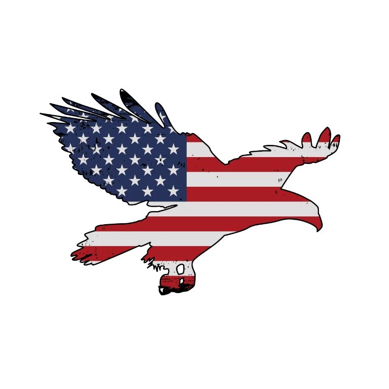Eagle USA flag
