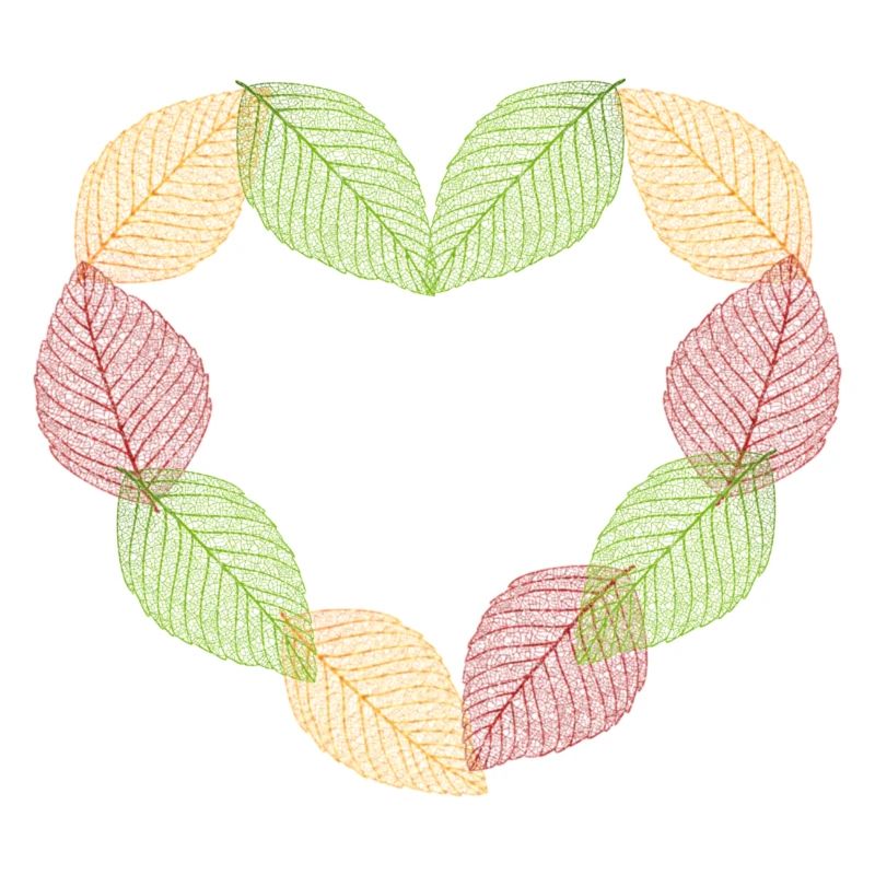 Cœur de feuilles