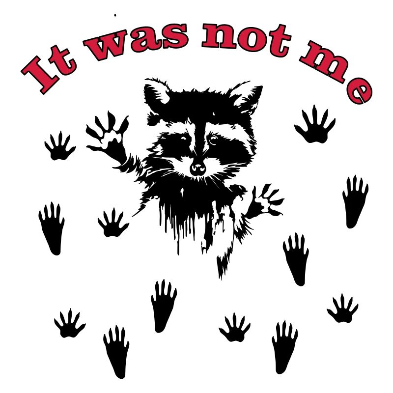 Racoon/Waschbär