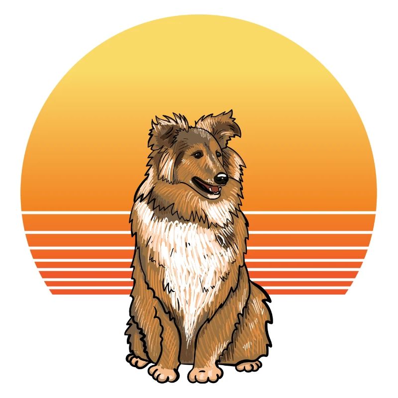 Soleil sheltie