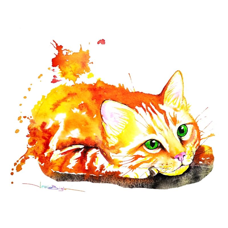 Chat roux