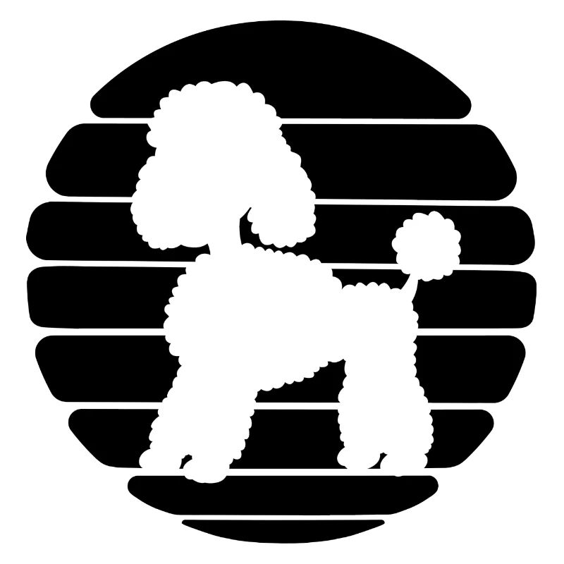 Caniche Design Sunset Propriétaire Maîtresse