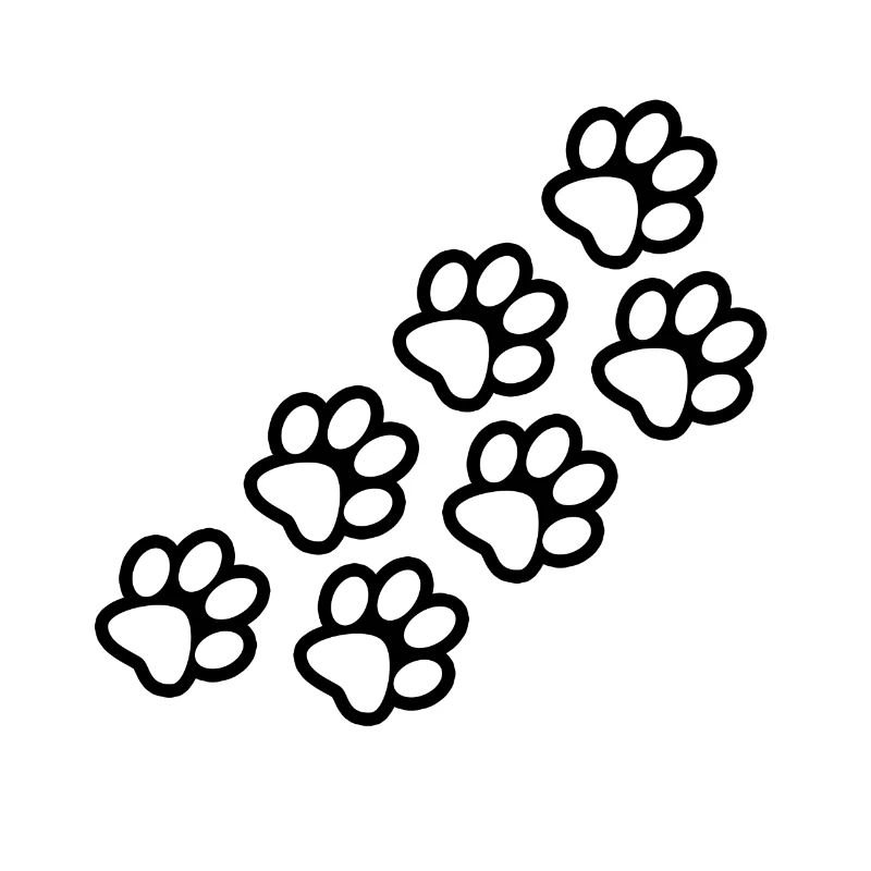 Pattes de chien et de chat