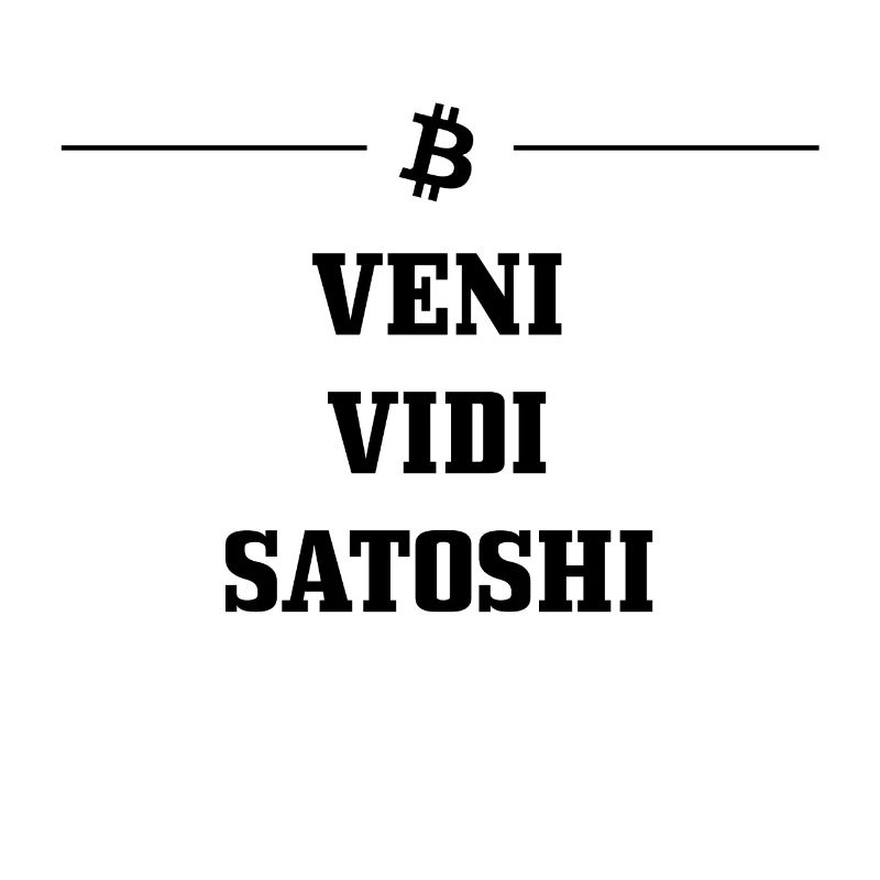 VENI VIDI SATOSHI