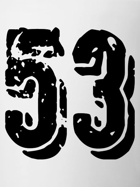 53 number jersey