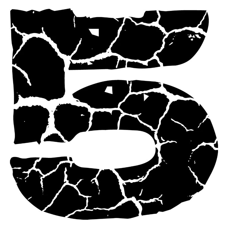 Maillot numéro 5