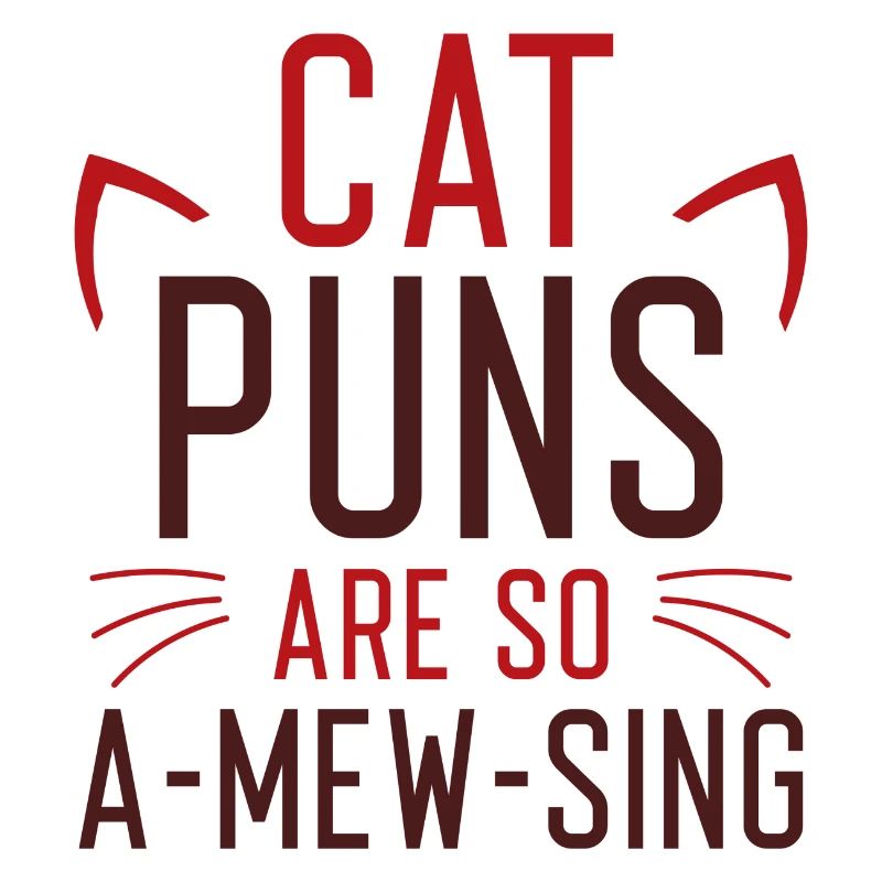 Katzenspiele sind so amüsant