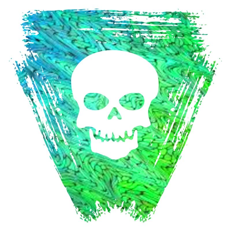 Skull 2 E 5