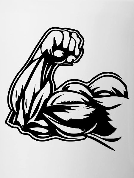 Muscles du bras biceps