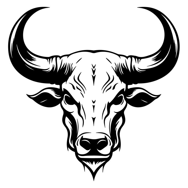Bulle Tier Kopf Skelett Stier