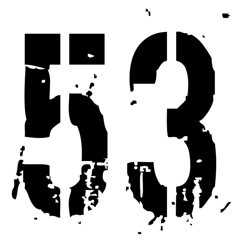 Number 53