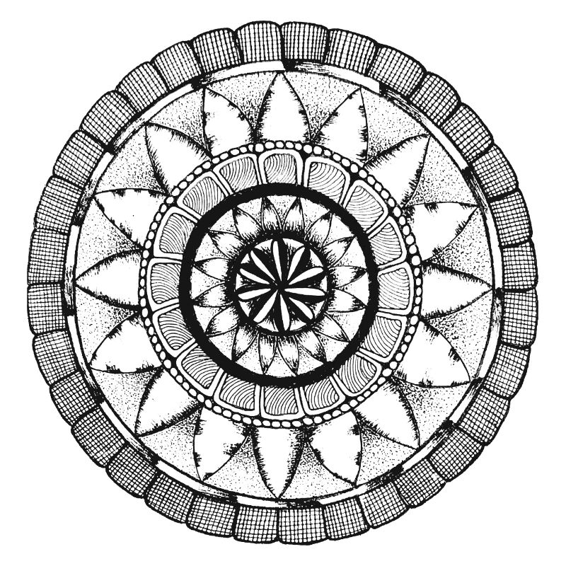 Modèle 5