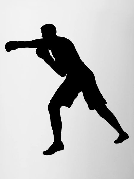 Boxer punch in white