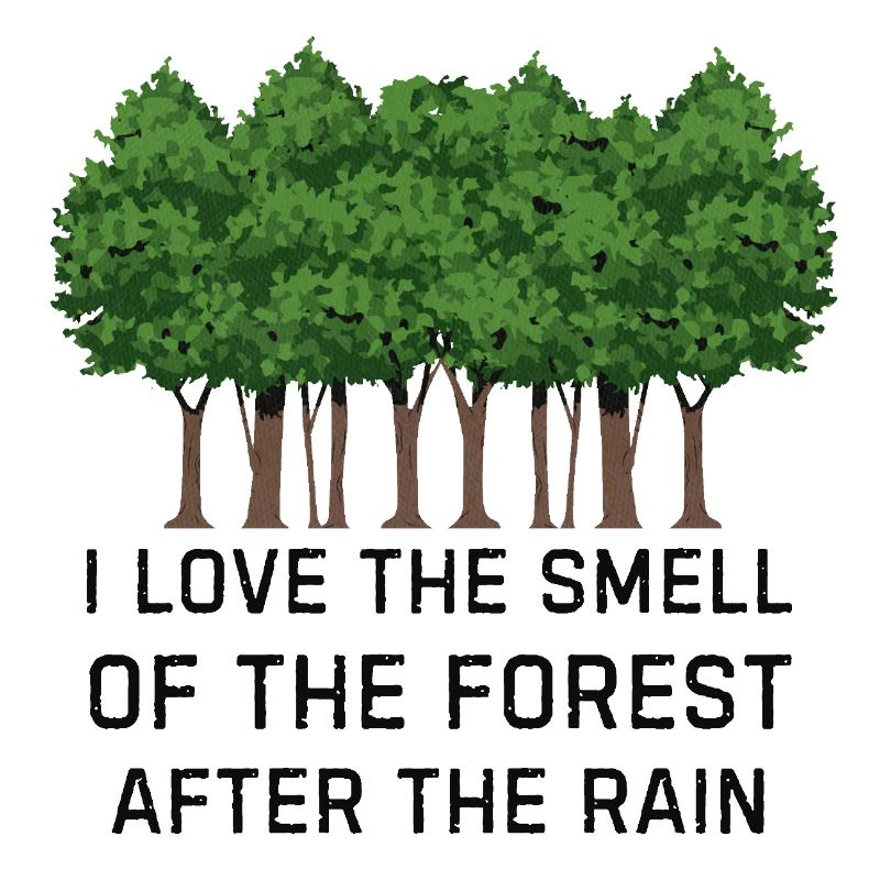 Forêt après la pluie