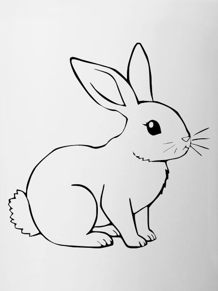 Rabbit Bunny Bunny Dwarf Rabbit Gift