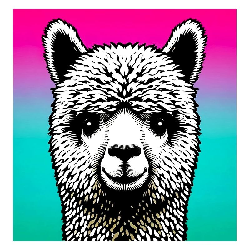 Alpaca