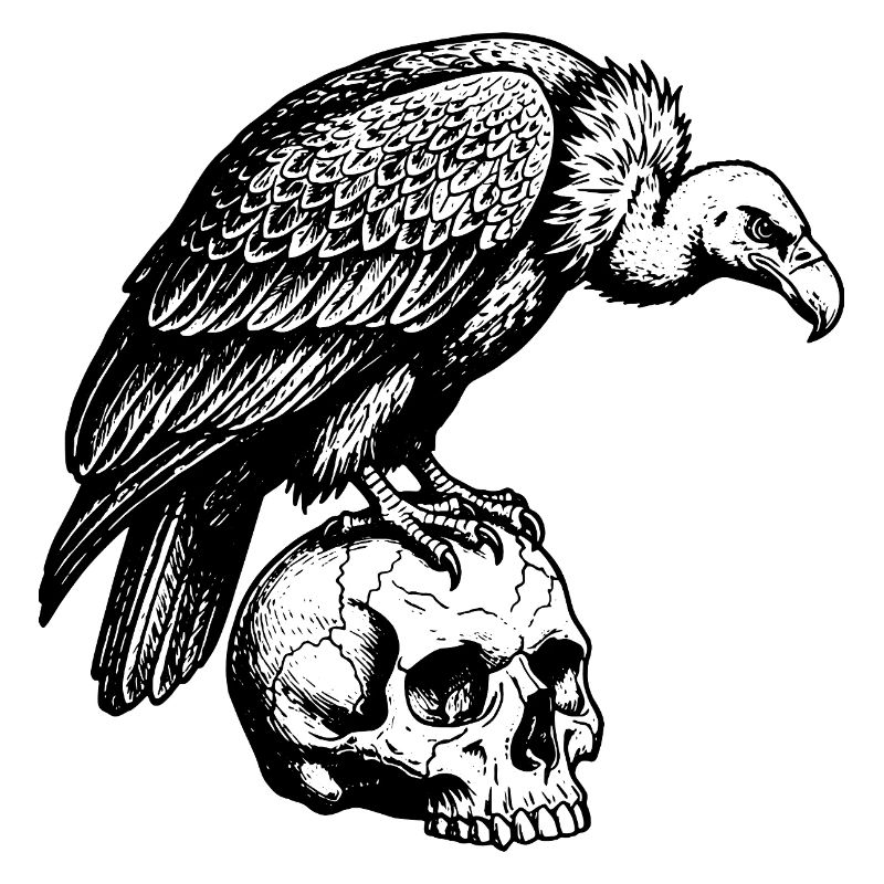 Vulture sitting on the skull.