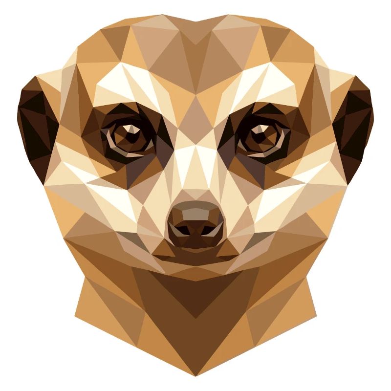 Suricate Suricate Douce Mangouste Suricate
