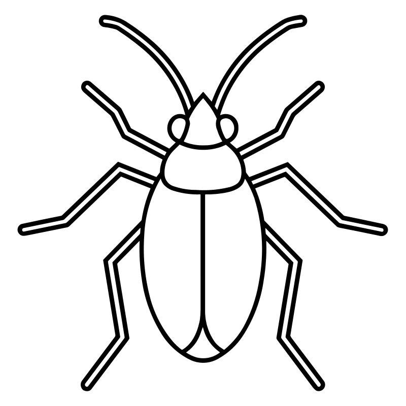 Aphid