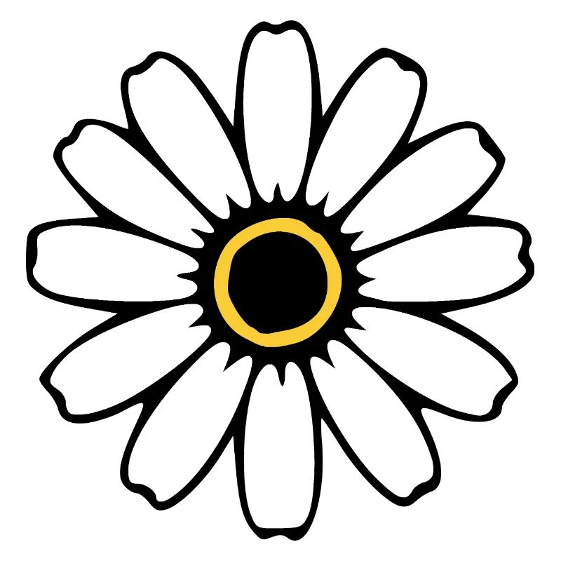 Fleurs blanches Fleurs blanches Fleurs blanches Fleurs sauvages Herbes