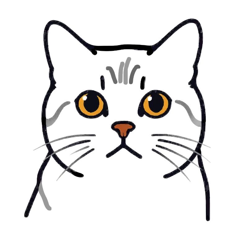 Teodoro le Chat - Tête de Chat