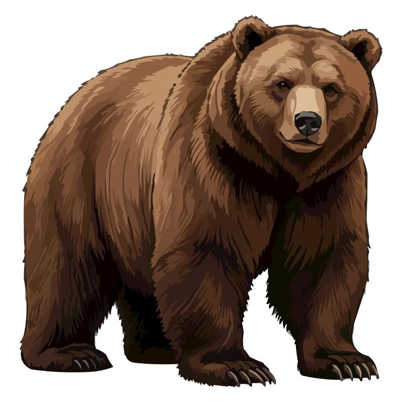 Graphique de l’ours brun dans le style naturel