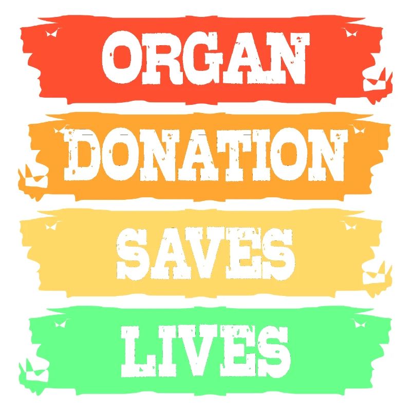 Leber Organspender Leberspende Organ Spender