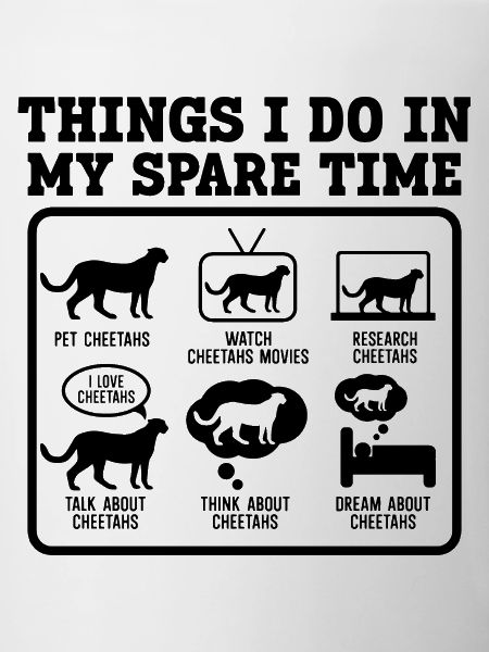 Cheetah Spare Time