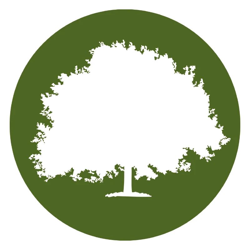 Baum