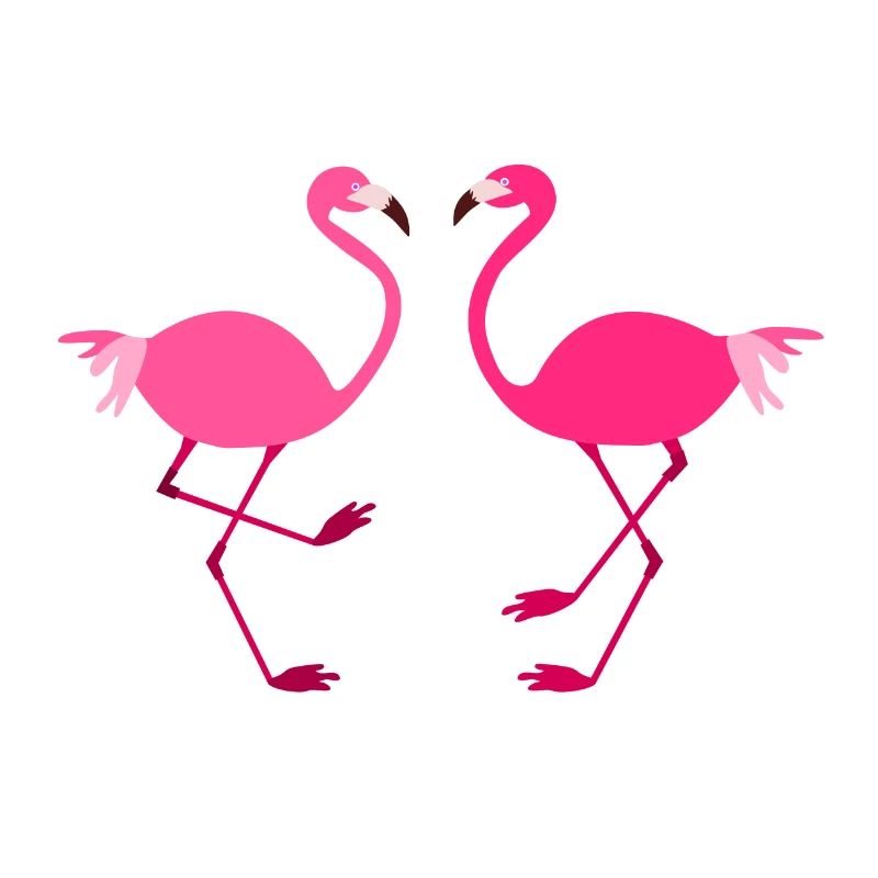 Flamants roses oiseaux animaux