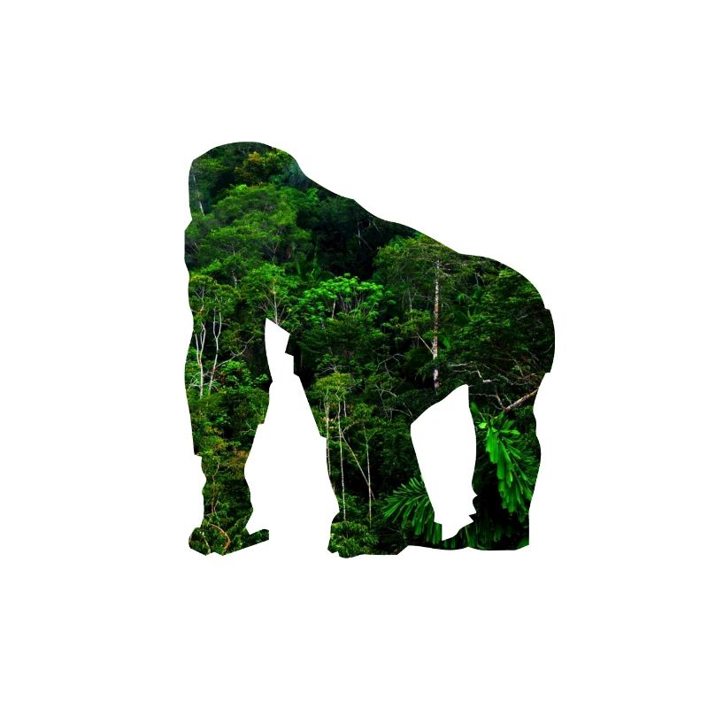 Monkey Animal Jungle Save the Rainforest Gift