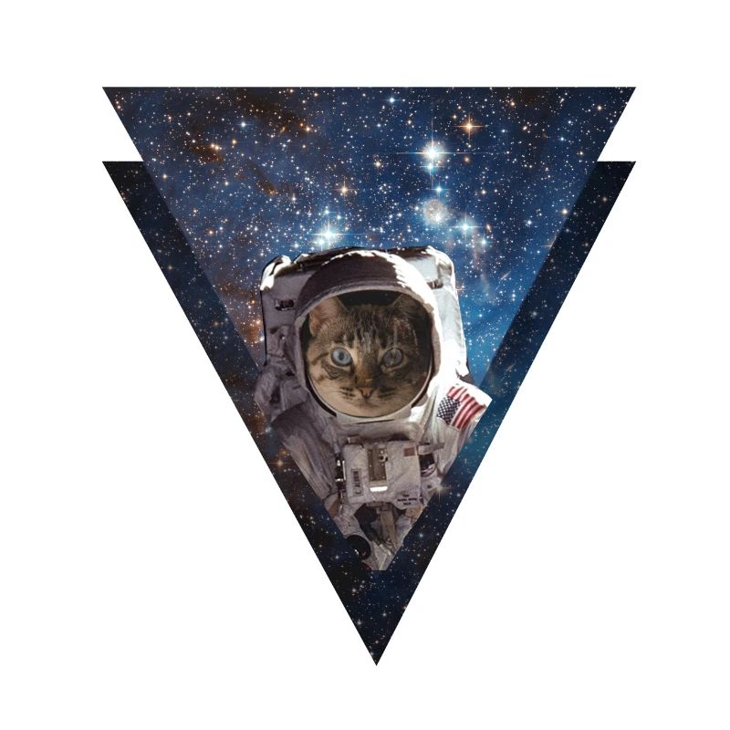 Galaxy Cat Astronaut
